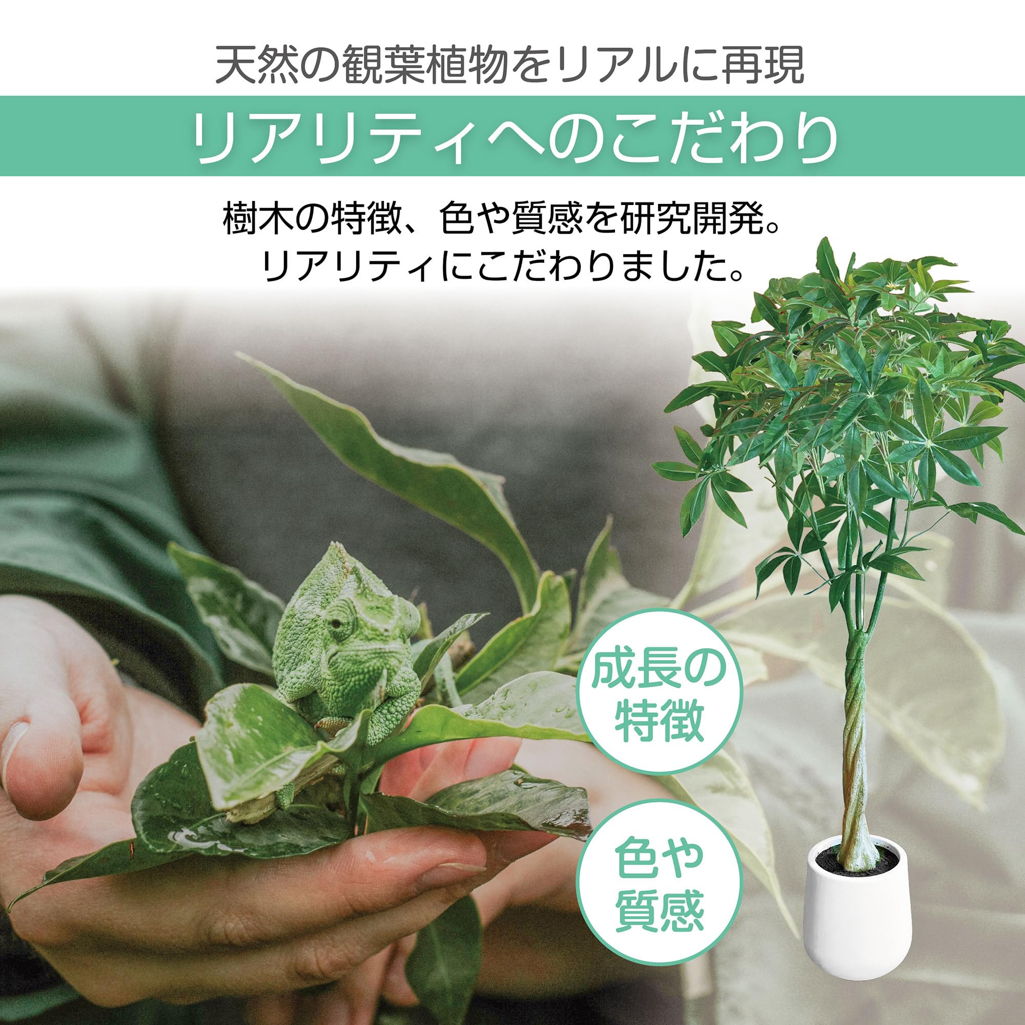 Amazon｜FIRSTSTARJAPAN フェイクグリーン 人工観葉植物 観葉樹 造花